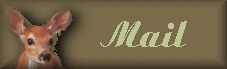 mail to